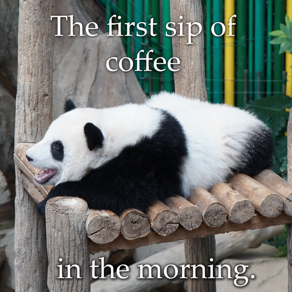 The first sip of coffee.